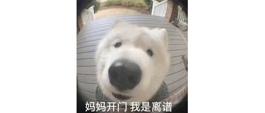 追觅一个做扫地机器人的去造车，有问题吗？