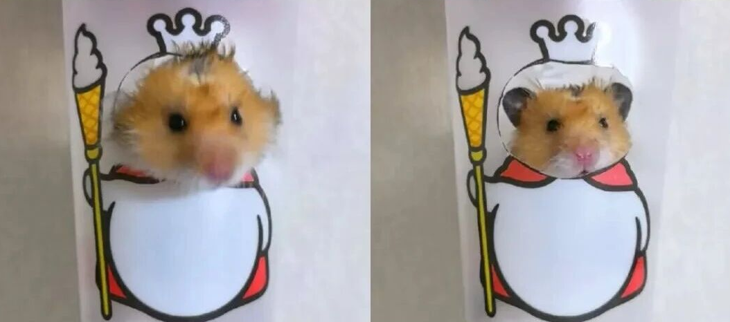 蜜雪冰城爆改“鼠王”？网友：好歹毒的商战！