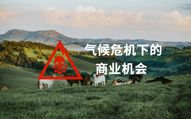 气候危机下的商业机会