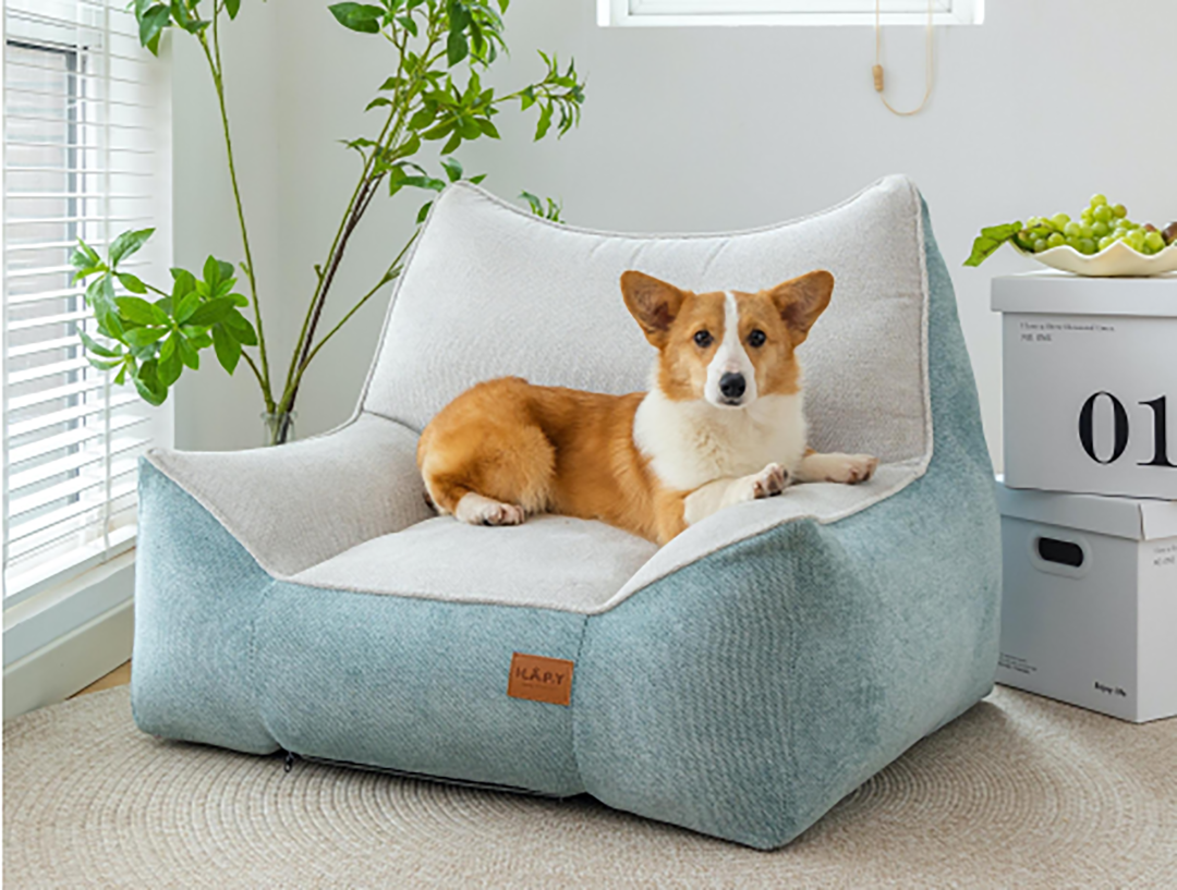 不止于窝！亚宠展上演“为爱设计”，揭秘人宠共生家的新答案！