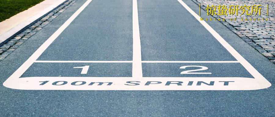 科技新贵整活，用跨界的方式扩张？