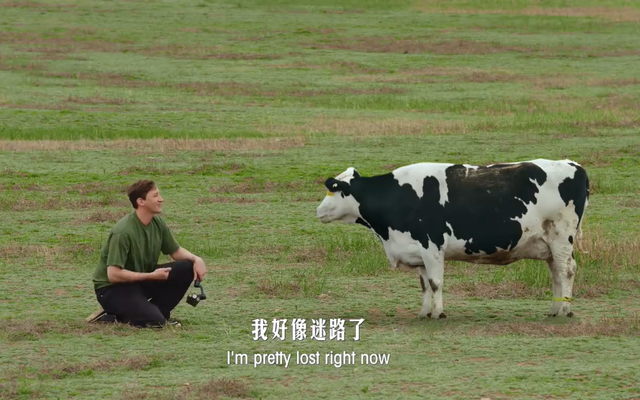 金典20年，只做了一件 “挺牛”的事