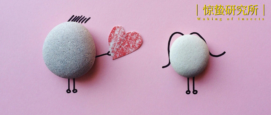 这届年轻人，用“恋综”的方式打开相亲