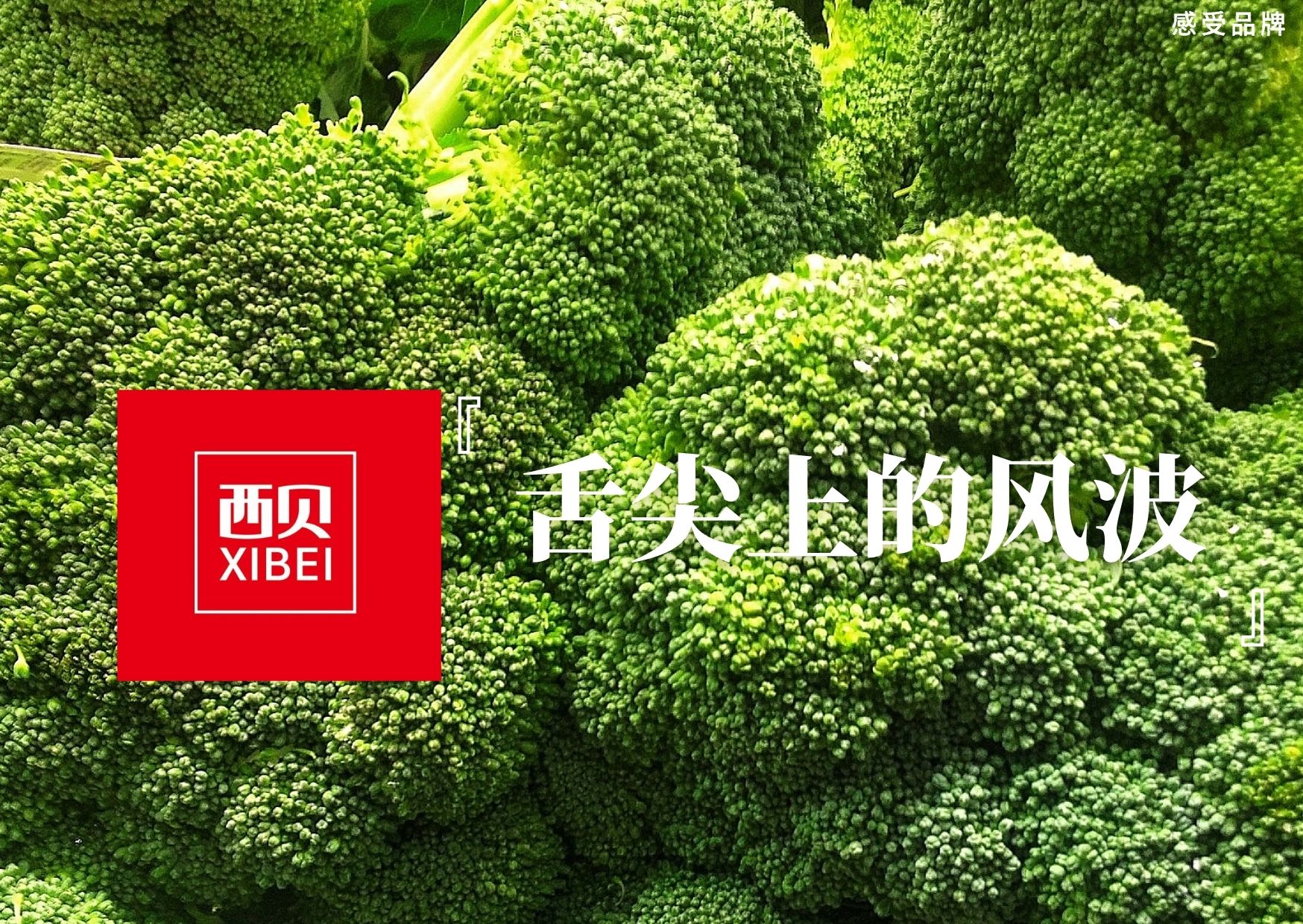 西贝：24个月的冷冻西兰花让多少家长破防了？