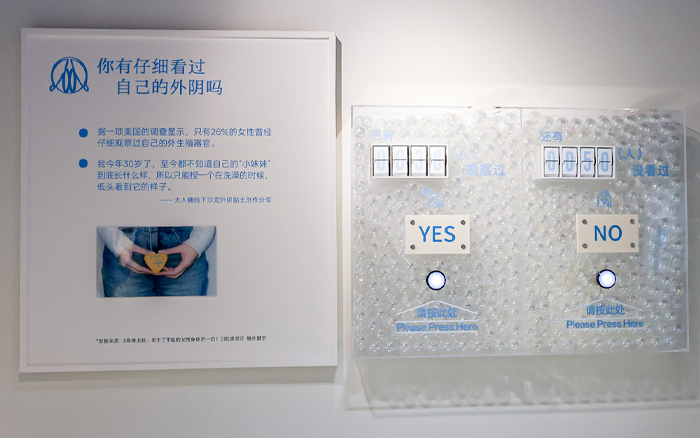 大人糖在性博物館裏，開了一個女性愉悅展