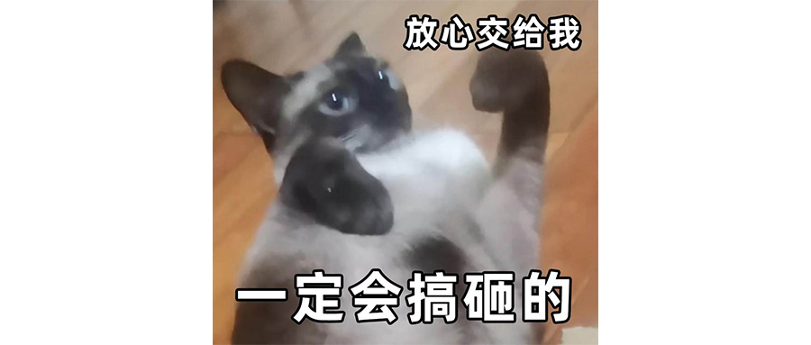 西贝反复招惹罗永浩干嘛？