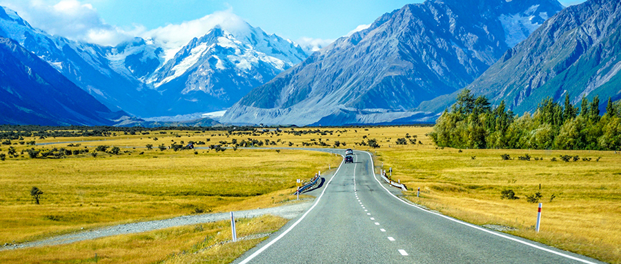 沉迷神州租车的年轻人傻么？