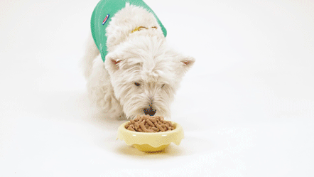  帕特的「减法配方」：除了天然食材，别的没了！