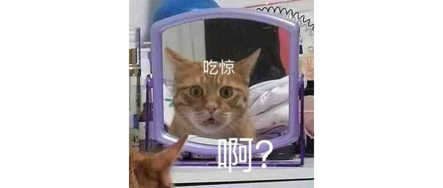 西贝终究还是太理智了