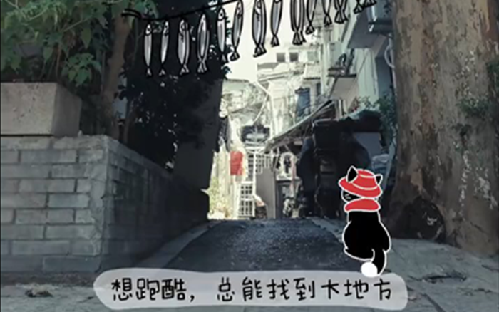 侵塵公益計劃：覆蓋69城，讓愛不再流浪