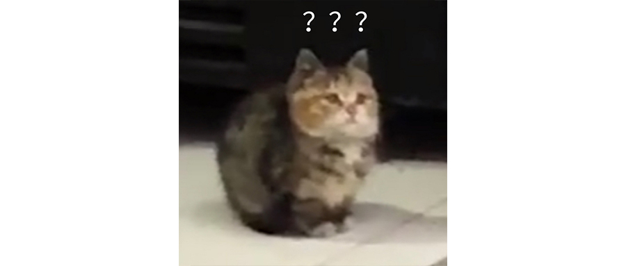 非法穿越的死者家属起诉公益救援队？做得好