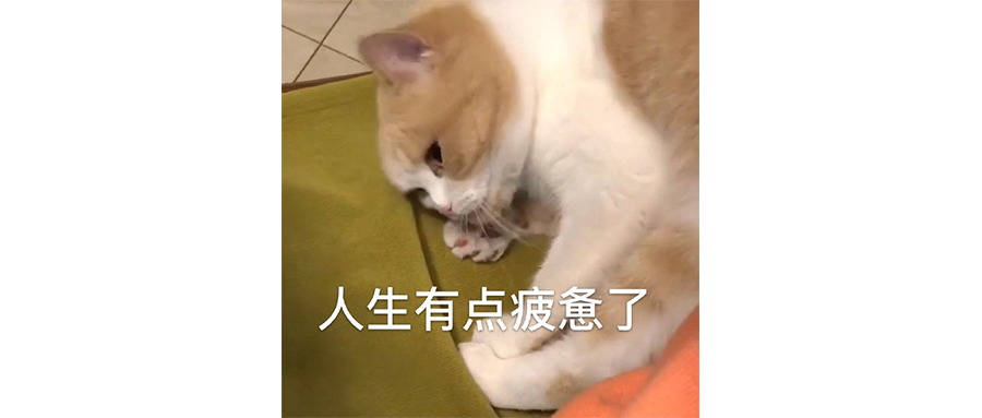 “最快女护士”的道歉，看的人头疼