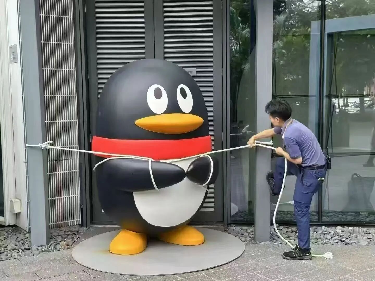 腾讯企鹅台风天被捆，网友们笑疯