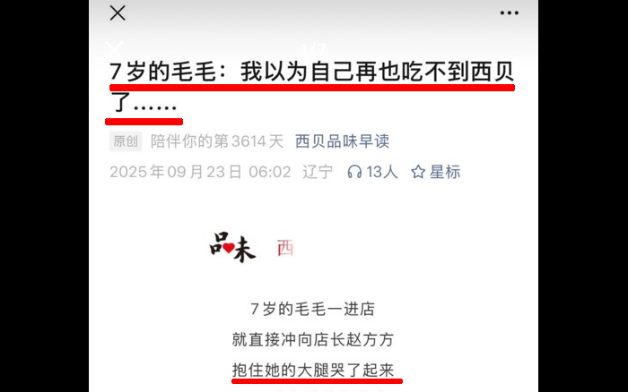 談談西貝新公關，權力帶來的腦損傷