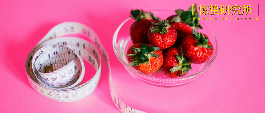 年轻人的养生革命：从“贴秋膘”到“轻养生”