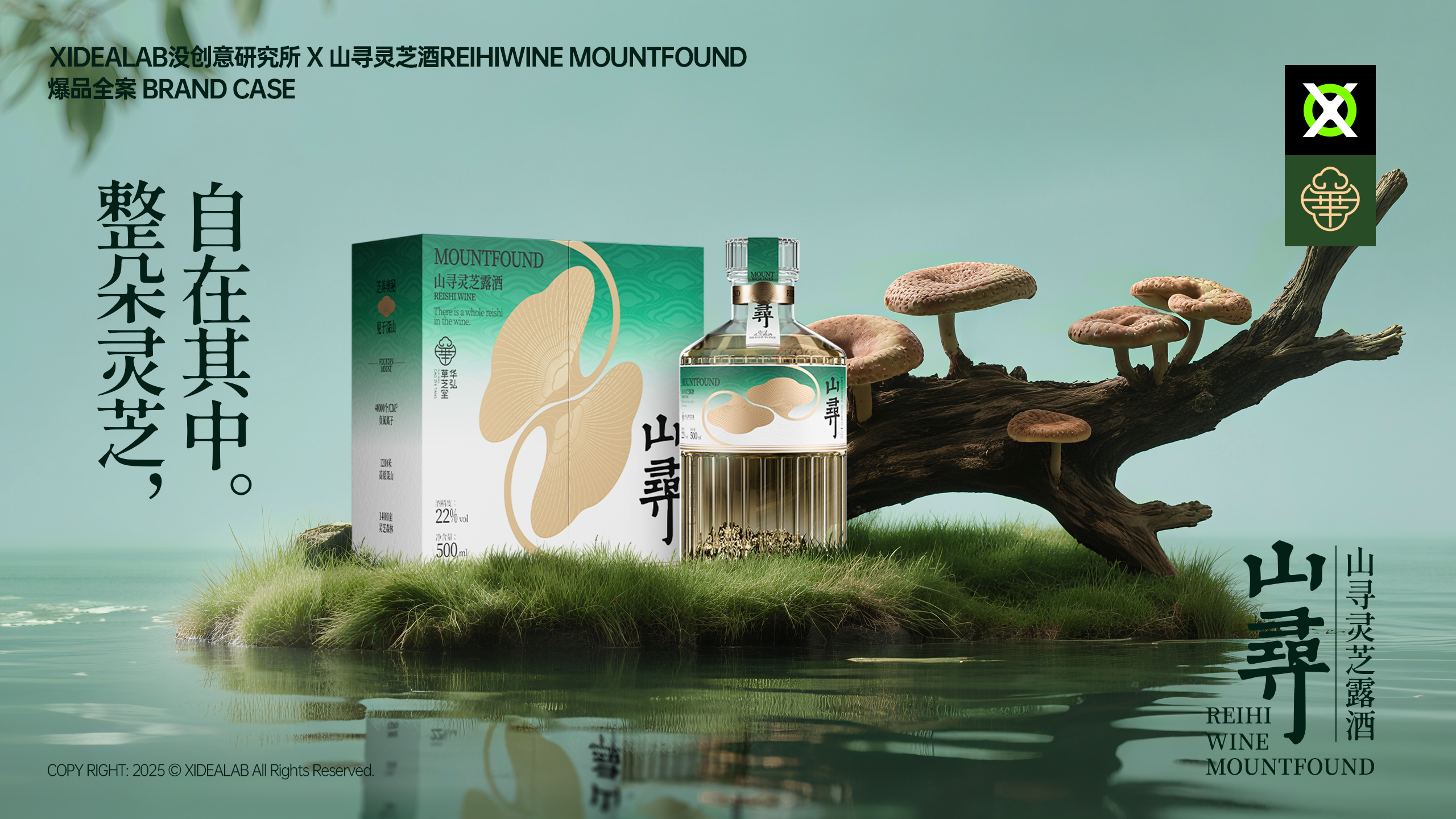 [山寻MOUNTFOUND] 灵芝露酒｜爆品全案