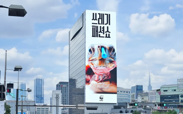 WWF户外广告：是谁把吸管塞进了海龟鼻子？