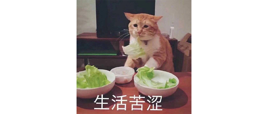 为啥会有人觉得丁克老了会比较惨？