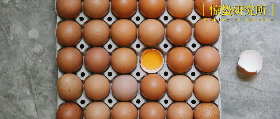 当老人鞋巨头，卖起有机食品