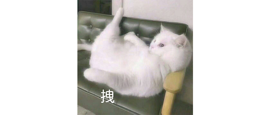 小米16改名17，越挨骂卖越好