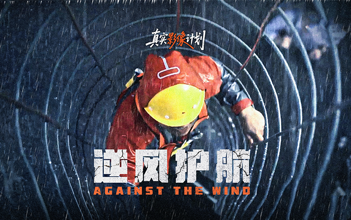 中国平安：逆风护航