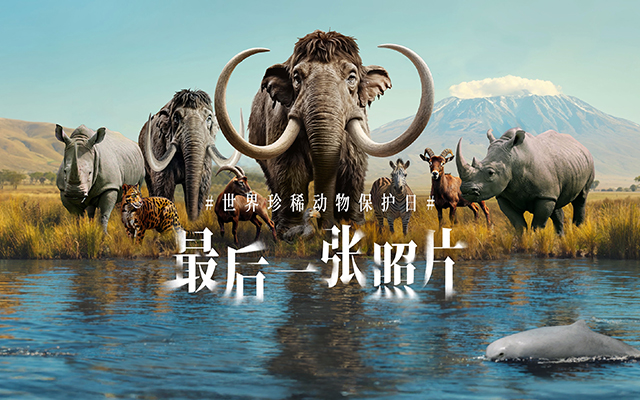聯想世界珍稀動物保護日：最後一張照片