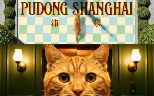 浦东文明AI宣传片：人，猫代言浦东了