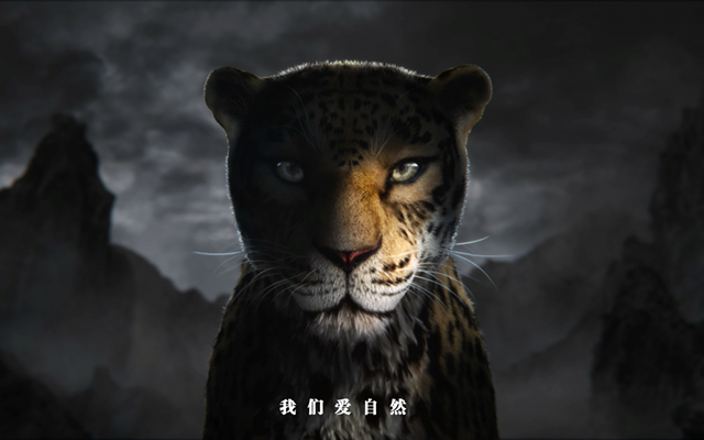 CBD家居：闭起眼睛看见自然