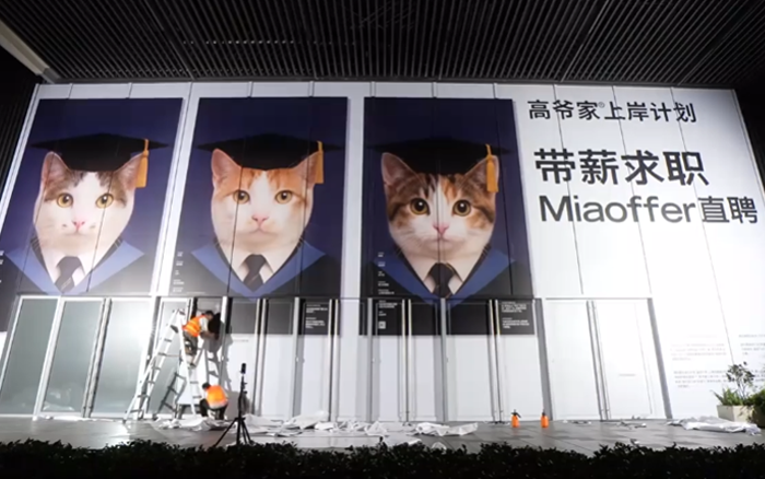 高爷家：猫咪带薪求职，巨型简历墙现身杭州中心