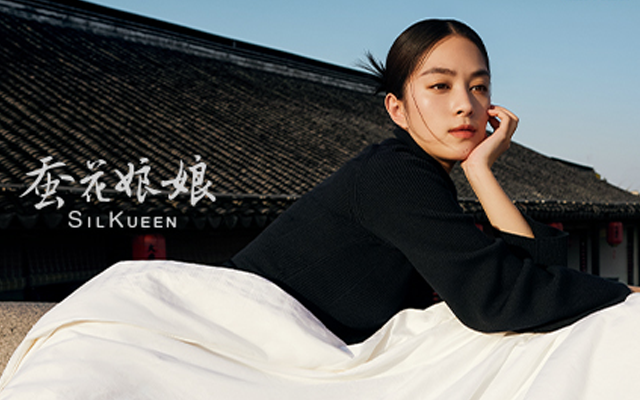 蚕丝被品牌战略升级全案，打破低价内卷困局