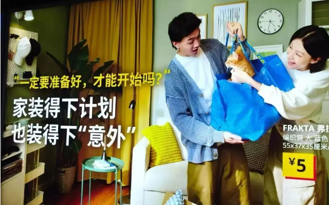 收養流浪貓被網友爆贊，宜家廣告也太會了吧！