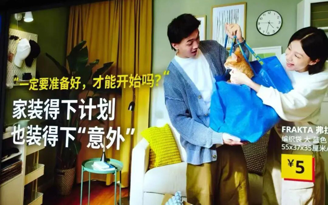 收养流浪猫被网友爆赞，宜家广告也太会了吧！