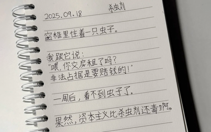 韩国人的中文日记，意外成了诗