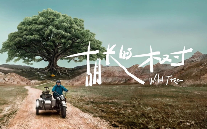 可隆×胡歌：致每一棵“胡长的树”