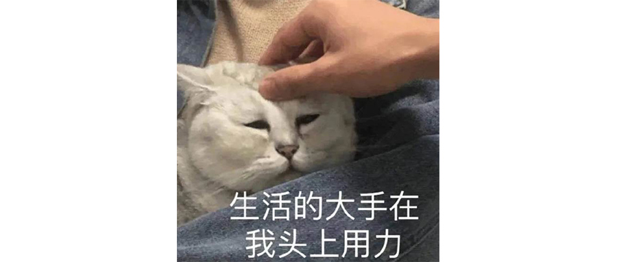 这次事件踩小米汽车的企业属于脑子有问题