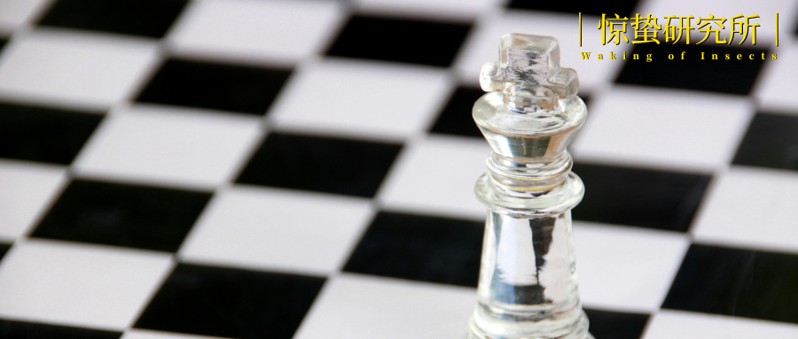 谜局中的娃小宗