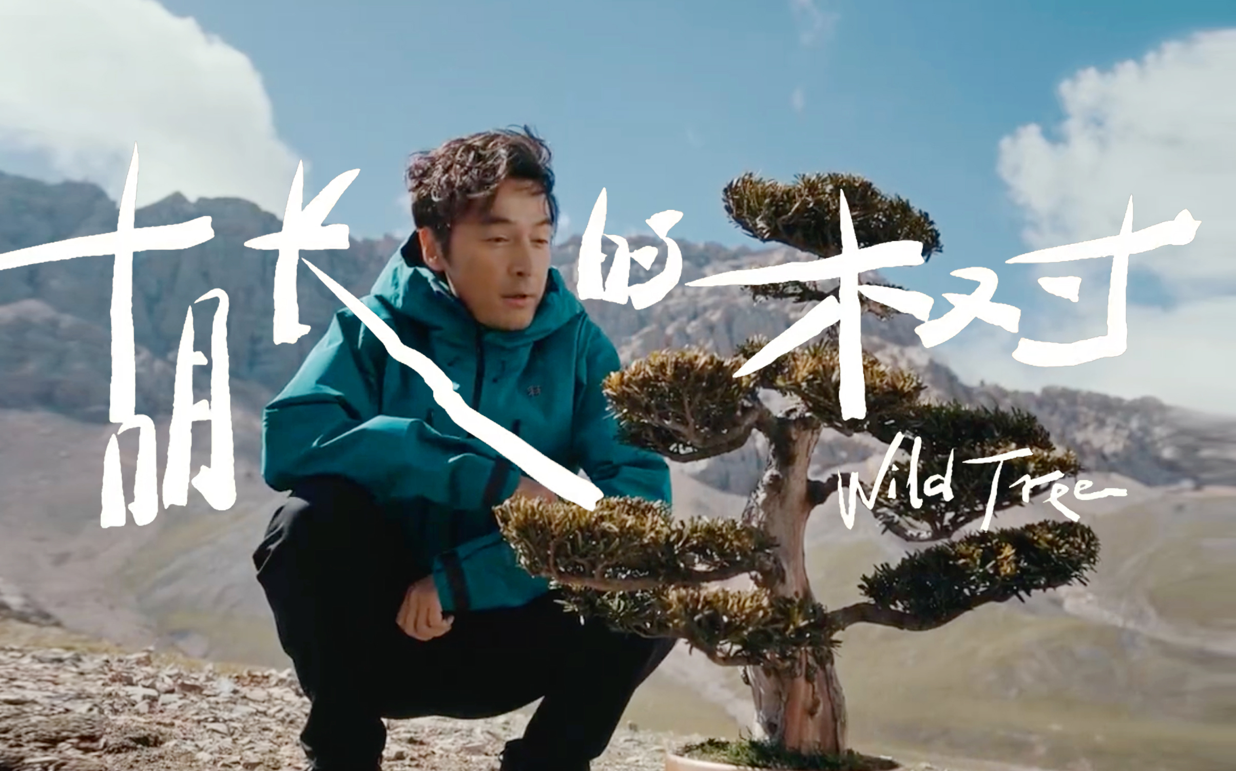 被一棵树刷屏了？户外品牌广告还能这么拍