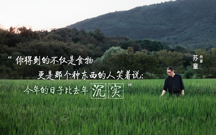 抖音电商×作家苏童：这份丰收请你签收