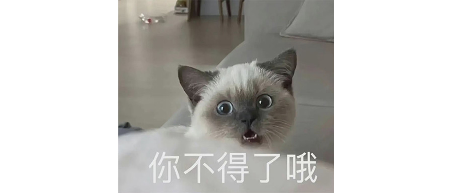 零跑D19要彻底毁了增程车吗？