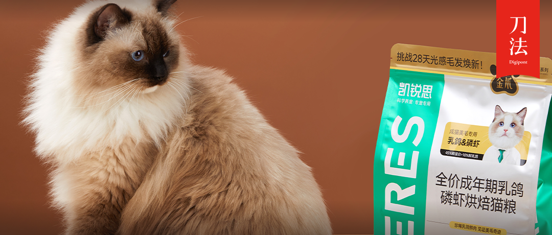 不做爆品，只做专业：凯锐思的“错位竞争”逻辑 | 对谈CEO