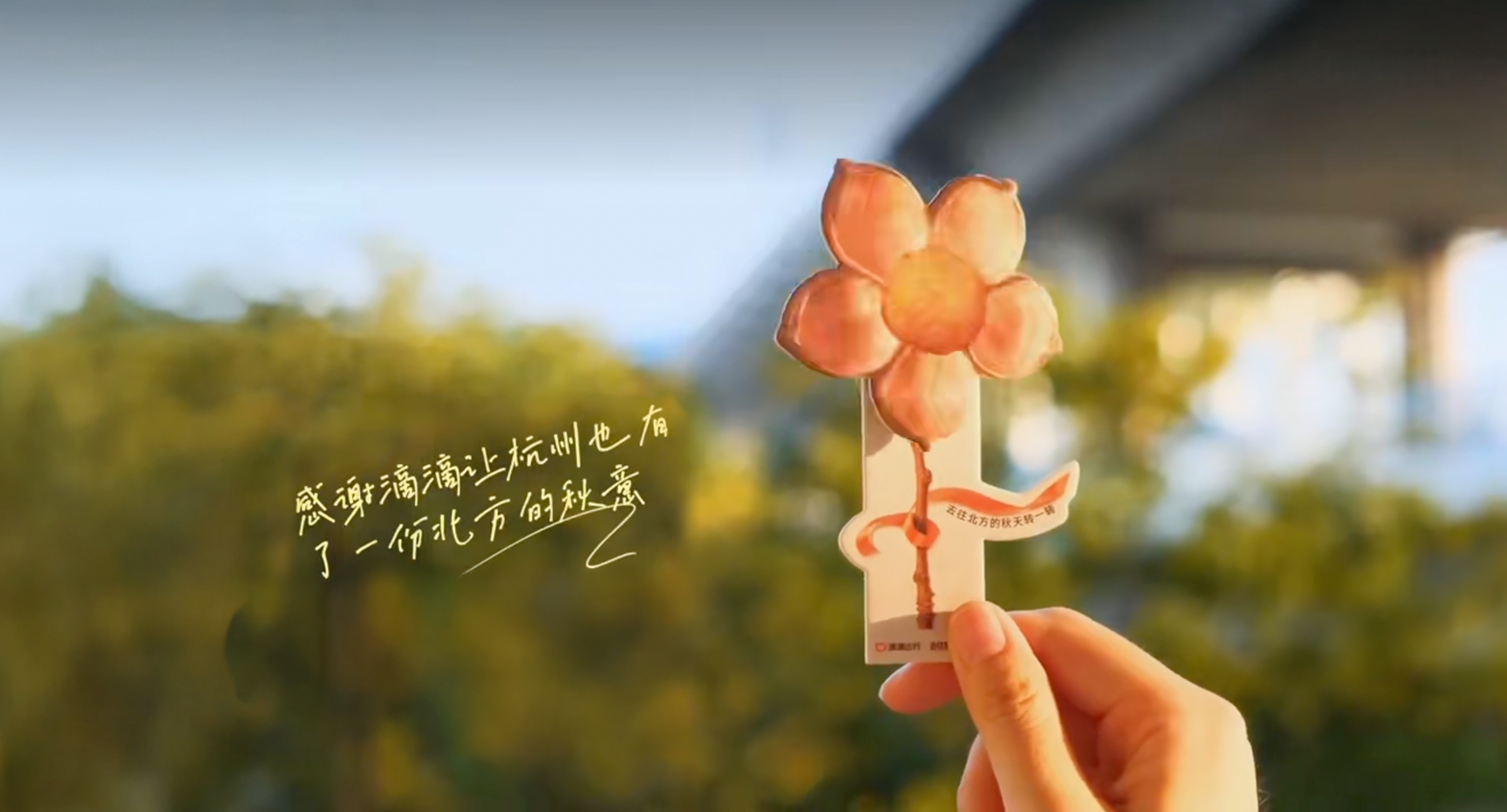 滴滴南秋北调｜用一缕香气“拿捏”秋日情绪