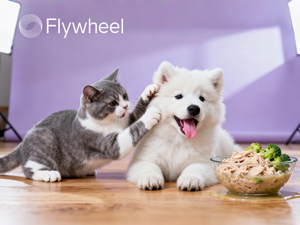 还在吃预制菜的人，让宠物吃上了鲜食