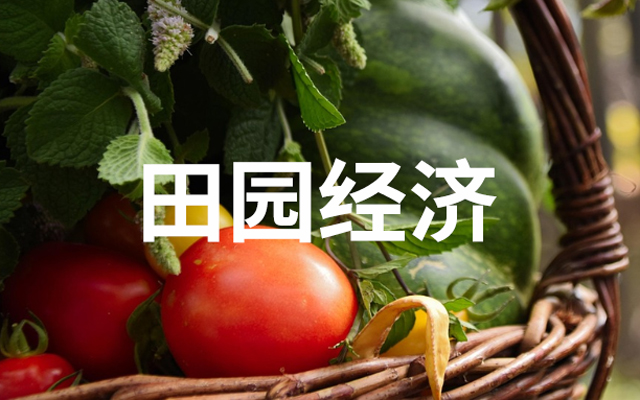 扎堆有风的地方，这八大田园经济崛起