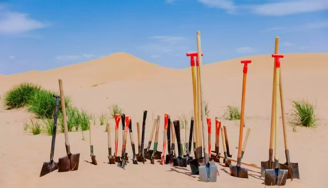 “我在彰武有棵树”研学活动再添新彩歌声与课题共赋绿色发展 