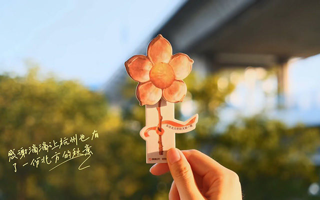 滴滴「交换秋天」，用另一种方式帮你留住秋天