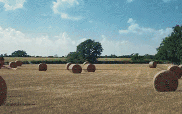 一根红线跋山涉水，这二手广告好浪漫啊