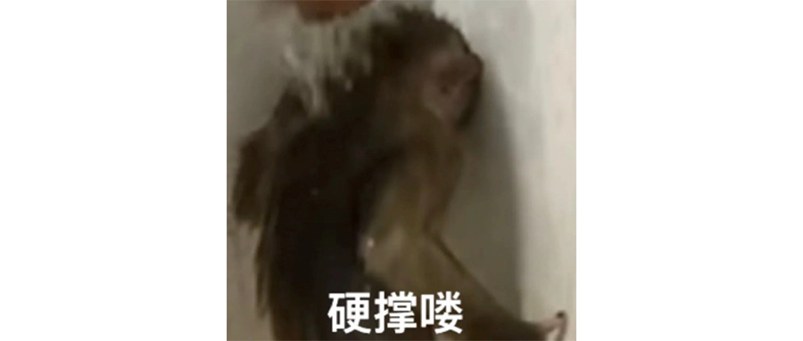 上门按摩平台，会不会黄了？