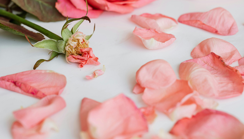 饿了么，“消失”在17岁