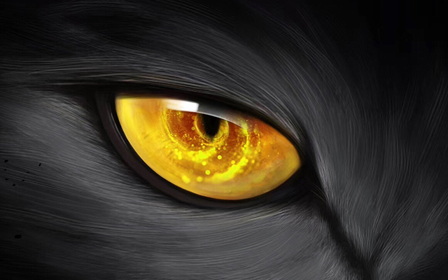 别了，与“丹”同行