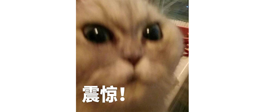 跟陈鹤皋比，网红武术的纯度还是太低